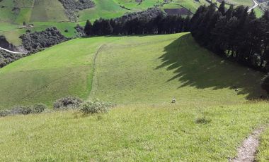 VENTA HACIENDA LECHERA Y GANADERA LUPAXI - GUAYAS