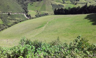 VENTA HACIENDA LECHERA Y GANADERA LUPAXI - GUAYAS