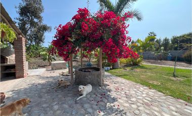 CASA DE CAMPO EN VENTA, MALA, CAÑETE, LIMA