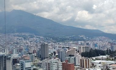 Sector Plaza Artigas