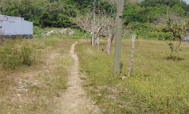 TERRENO EN JAMAPA, VER.