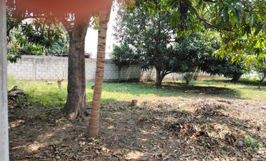 TERRENO EN JAMAPA, VER.