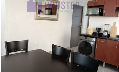 DEPARTAMENTO AMUEBLADO EN RENTA ZONA MARFIL