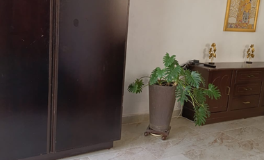 DEPARTAMENTO AMUEBLADO EN RENTA ZONA MARFIL