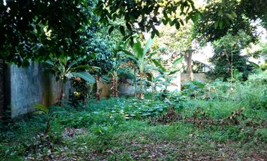 Dijual Cepat Tanah Untuk Pembuatan Cluster di Jatibening