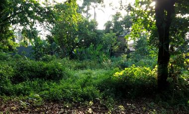 Dijual Cepat Tanah Untuk Pembuatan Cluster di Jatibening