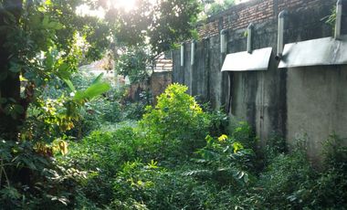 Dijual Cepat Tanah Untuk Pembuatan Cluster di Jatibening