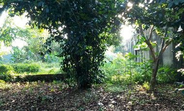 Dijual Cepat Tanah Untuk Pembuatan Cluster di Jatibening