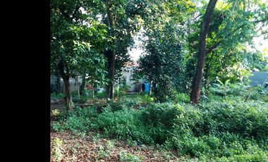 Dijual Cepat Tanah Untuk Pembuatan Cluster di Jatibening