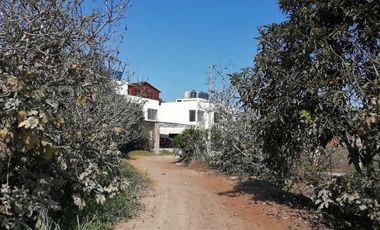 CAMINO A LUNAHUANA....CASAS, CAMPO, SOL Y PISCINA