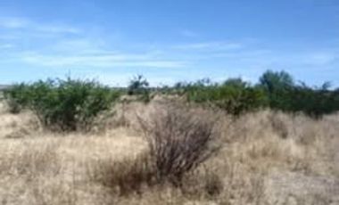 Se renta o vende terreno en Juventino rosas