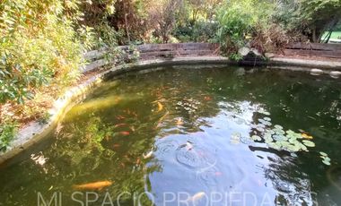 Avda Lonquén Sur- Calera de Tango