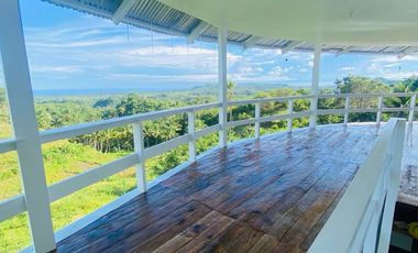 For Sale | Siquijor Property with Cave & Spring - 1.2 Hectares
