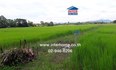 Vacant land 22 rai 15 sq.w. Vacant land near Wat San Kamphaeng, Chiang Mai-San Kamphaeng Road, San Kamphaeng, Chiang Mai
