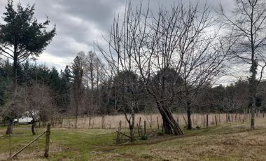 En venta terreno 1 hás con casa de 69 ms2., Boquipulli - Villarrica