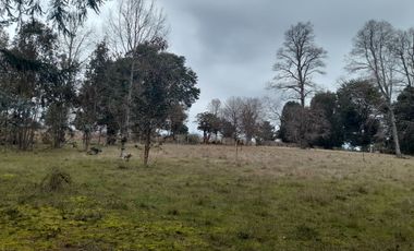 En venta terreno 1 hás con casa de 69 ms2., Boquipulli - Villarrica