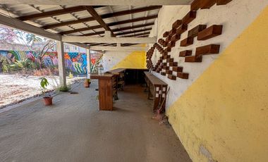 Lote Cacao