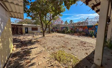 Lote Cacao
