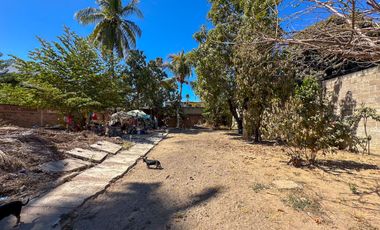 Lote Ciruela