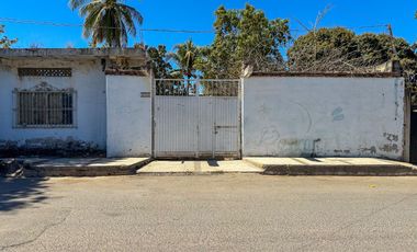 Lote Ciruela