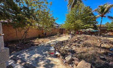 Lote Ciruela
