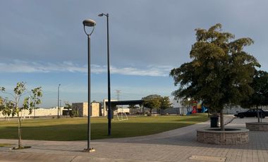 TERRENO EN VENTA FRACC LOS NOGALES CALLE 5 DE FEBRERO Y BORDO NUEVO CD OBREGON SONORA