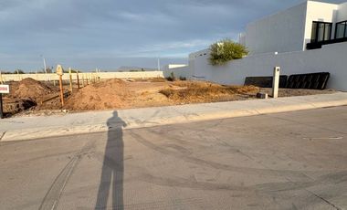 TERRENO EN VENTA FRACC LOS NOGALES CALLE 5 DE FEBRERO Y BORDO NUEVO CD OBREGON SONORA