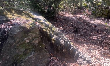 Se venden casi 2 hectareas en san francisco de mostazal
