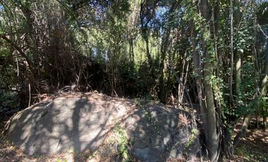 Se venden casi 2 hectareas en san francisco de mostazal