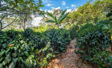 Finca a la venta a 45 min de Bogota