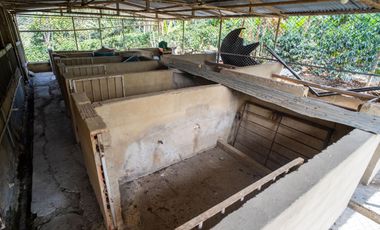 Finca a la venta a 45 min de Bogota