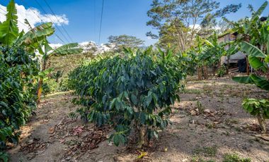 Finca a la venta a 45 min de Bogota