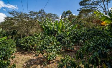 Finca a la venta a 45 min de Bogota
