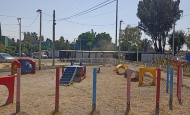 BUENA LUZ NATURAL DEPARTAMENTO. JUEGOS INFANTILES, GIMNASIO