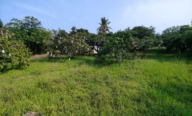 1-0-0 Rai | Owner Cut Corner Plot!  40 Meters Main Gov. Road Frontage