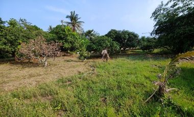 1-0-0 Rai | Owner Cut Corner Plot!  40 Meters Main Gov. Road Frontage