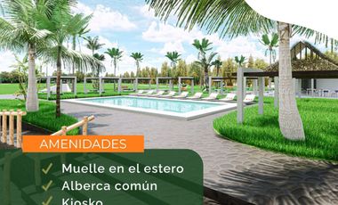 Lotes en VENTA Ubicados en Riachuelos, la zona mas exclusiva de Costa esmeralda, Municipio de Tecolutla, Ver.