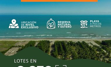 Lotes en VENTA Ubicados en Riachuelos, la zona mas exclusiva de Costa esmeralda, Municipio de Tecolutla, Ver.