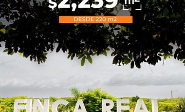 Lotes en VENTA Ubicados en Riachuelos, la zona mas exclusiva de Costa esmeralda, Municipio de Tecolutla, Ver.