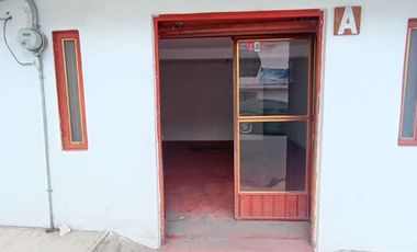 Propiedad c/4 Departamentos en Venta, Zinacantepec, México