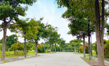 The Newly Listed Brand New House for Rent in Pramana Residenial Park in Santa Rosa Laguna