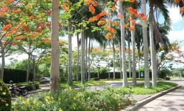 The Newly Listed Brand New House for Rent in Pramana Residenial Park in Santa Rosa Laguna