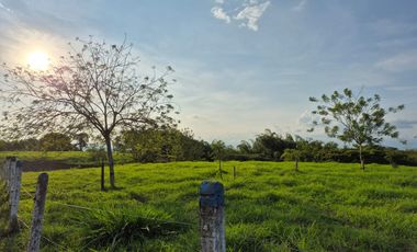 LOTE EN COMBIA CRUECERO