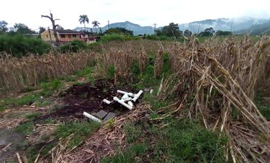 LOTE EN COMBIA CRUECERO