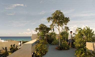 EXCLUSIVOS ESTUDIOS EN  EL CENTRO DE PLAYA DEL CARMEN