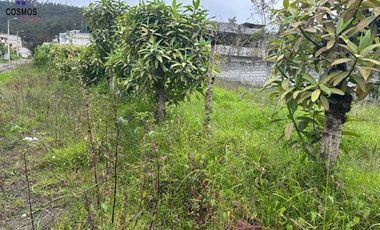 Venta de terreno en Otavalo sector San Juan, 595 m2
