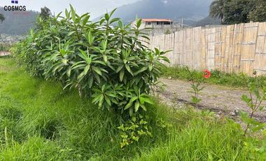 Venta de terreno en Otavalo sector San Juan, 595 m2