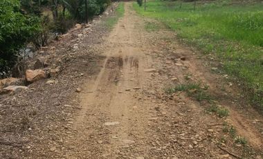 Lotes titulados Sunarp , con ARBOLES Y PASTO (cercado y con servicios)