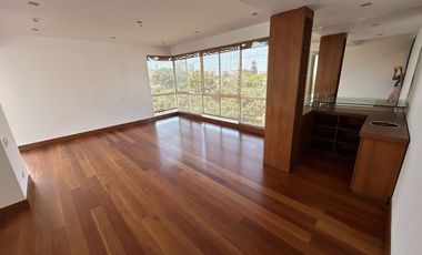 ESPECTACULAR TRIPLEX DE 4 DORMITORIOS, FRENTE AL OLIVAR DE SAN ISIDRO