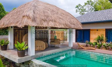 Modern House & Lot / Villa for Sale located in Panglao Island, Bohol